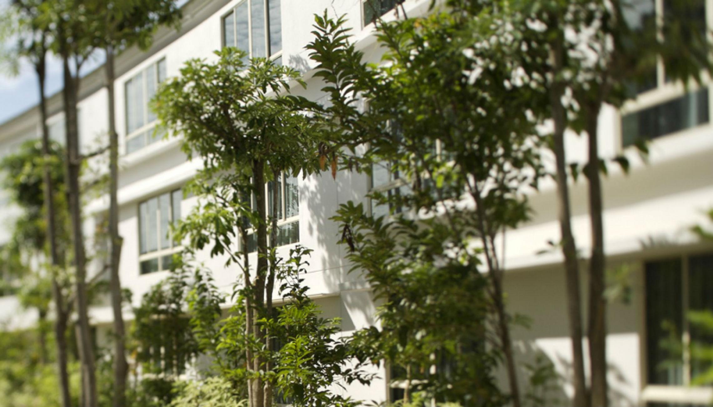 Amara Sanctuary Resort Sentosa Singapore Exteriör bild